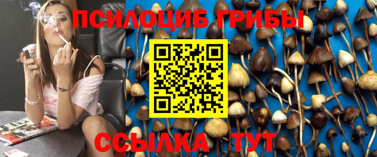 Полевской  Псилоцибиновые грибы ЛСД  Псилоцибиновые грибы ЛСД  хочу наркоту  Вход с VPN 