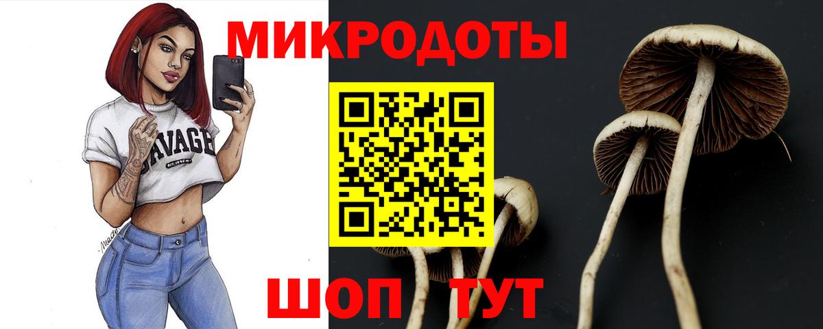 Галлюциногенные грибы Psilocybine cubensis Полевской